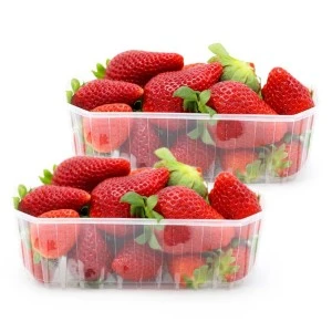 Pack 2 bandejas de fresón...