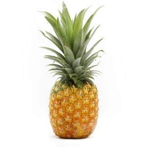 Pinya Honey