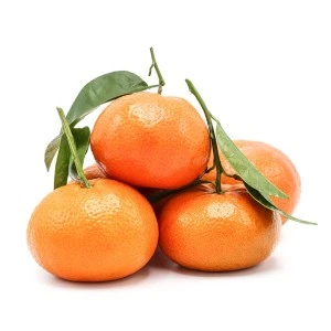 Clementina amb fulla extra