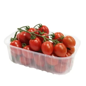 Tomàquet "Cherry" dàtil Safata