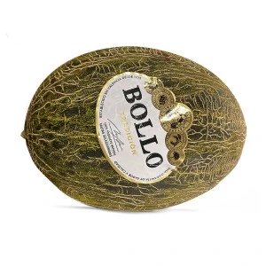 Melón Bollo
